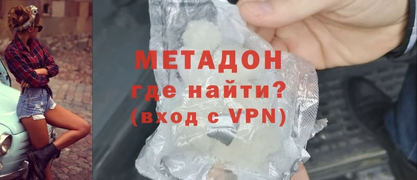 амф Гусев