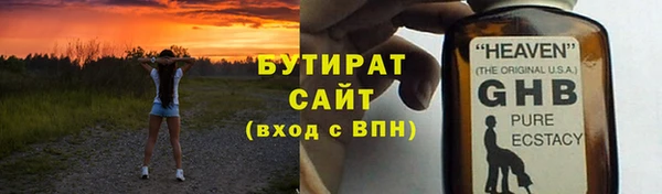 амф Гусев