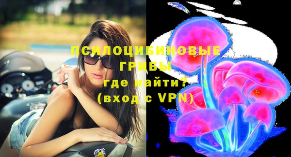 mdpv Гусь-Хрустальный