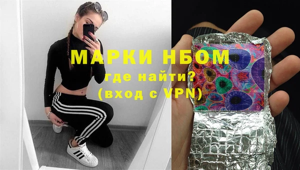 гидропоника Гусиноозёрск