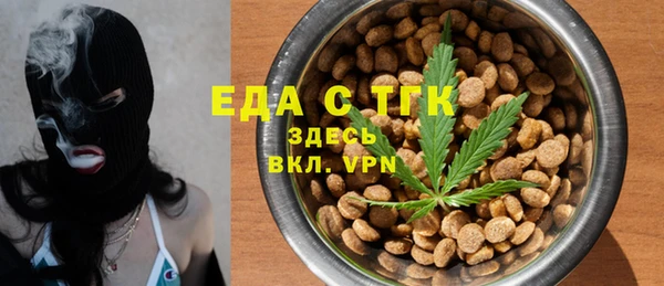 амф Гусев