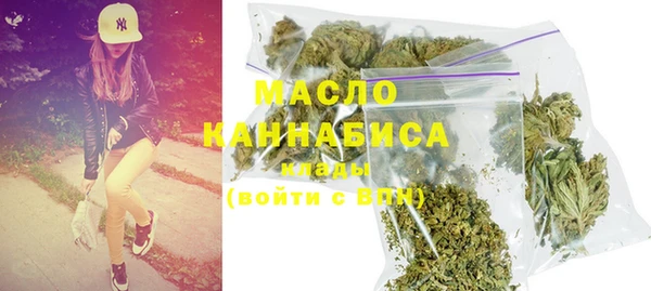 гидропоника Гусиноозёрск