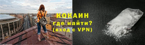 apvp Дмитриев