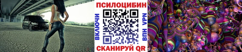 Купить закладки  Козловка  Галлюциногенные грибы Magic Shrooms 